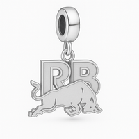 RB (Visa Cash App RB) – The Young Challenger